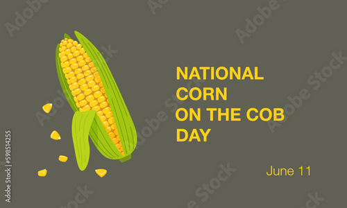 National Corn on the Cob Day banner on June 11th. Cob of sweet golden corn, grains, maize. Summer food vector illustration