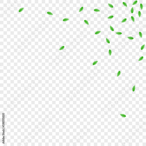 Green Vegetation Background Transparent Vector. Plant Life Design. Herbal Frame. Greenish Twig Texture. Greenery Decoration.