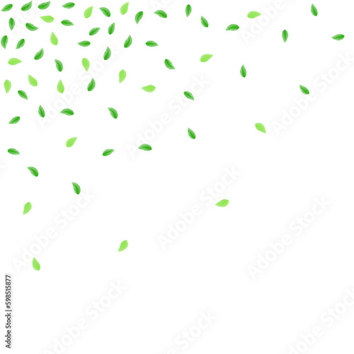 Green Leaves Background White Vector. Greenery Line Texture. Pattern Design. Greenish Eucalyptus Illustration. Sheet Woods.