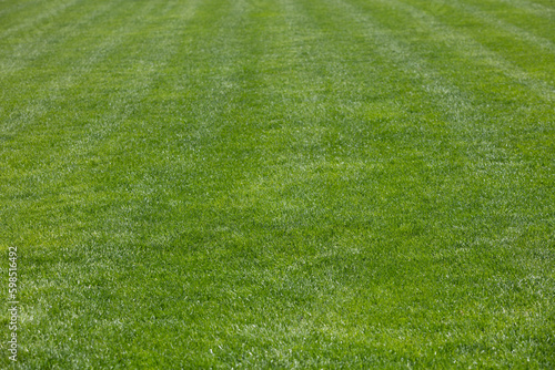 green grass background, football field textured background