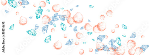 Orange Shell Background White Vector. Scallop Print Pattern. Sketch Graphic. Red Starfish Creature Set.