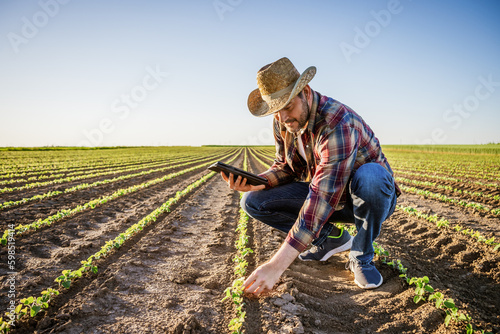 Farmer is cultivating soybean on his land. He is examining progress of crops.