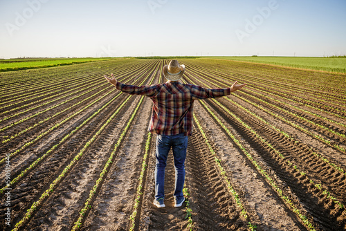 Farmer is cultivating soybean on his land. He is satisfied with early progress of plants.