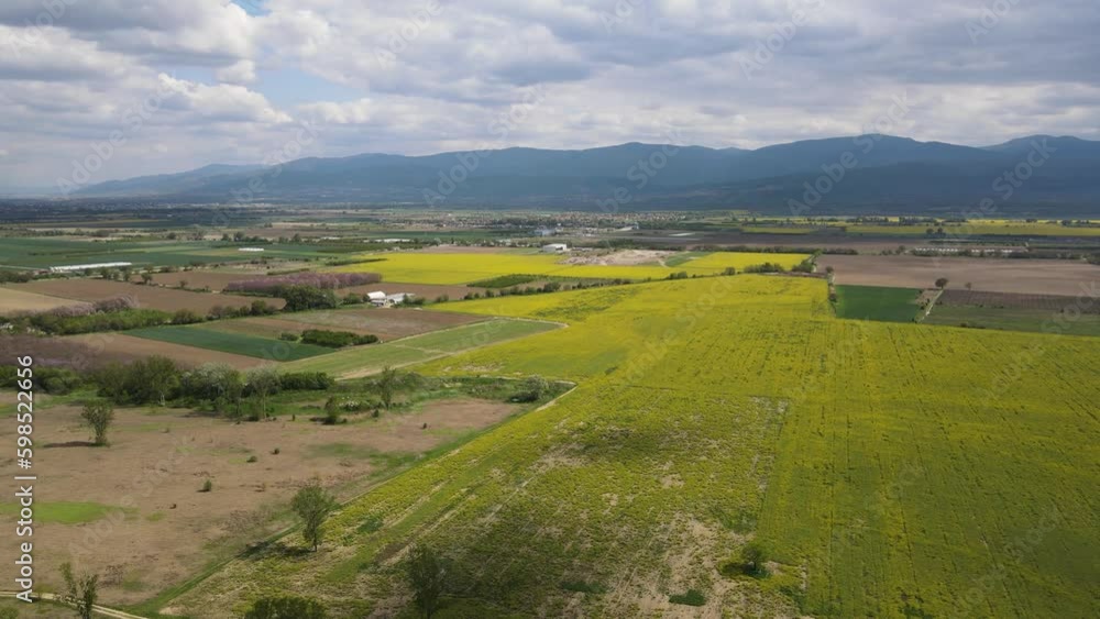 Aerial view of Blooming rapeseed field near village of Kostievo, Plovdiv Region, Bulgaria Aerial view of Blooming rapeseed field near village of Kostievo, Plovdiv Region, Bulgaria