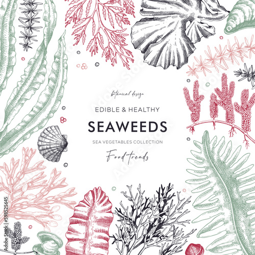 Seaweed vector card or invitation design. Edible algae vintage frame with golden kelp, wakame, kombu, hijiki, Irish moss drawings in sketch style. Underwater plant botanical illustration in color