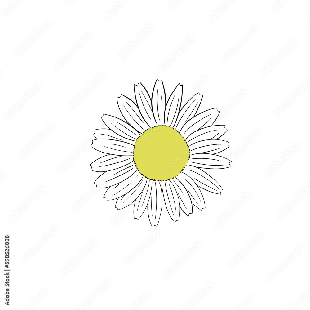 flower flower