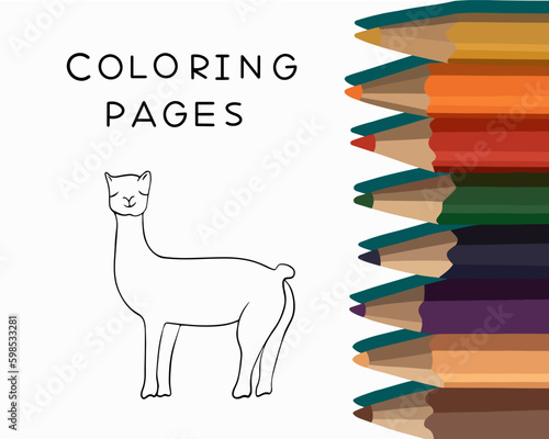 Vector isolated illustration of llama coloring page. Coloring book for preschool children. Tasks for kindergarten.