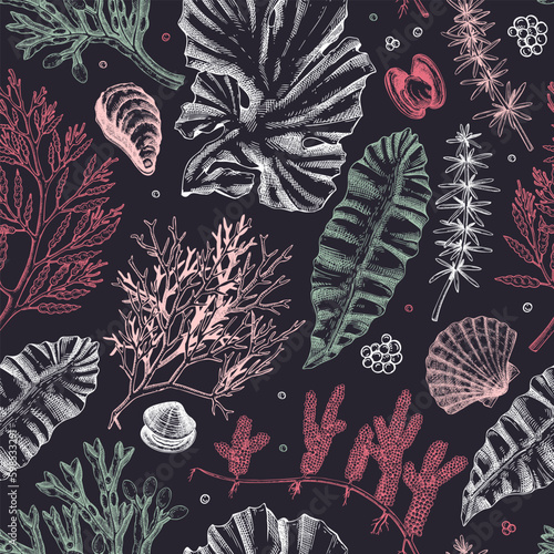Sea life background. Edible seaweed seamless pattern. Hand-drawn kelp, kombu, wakame, hijiki, sea shells illustrations. Underwater plants and algae sketches. For print, menu design or wrapping paper