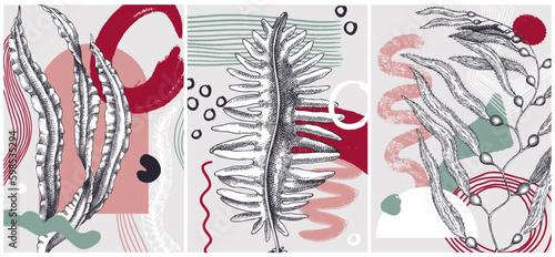 Collage-style seaweeds vector illustration. Sketched underwater plants banner set. Trendy design with botanical elements and geometric shapes. Elegant algae for sketch poster, card, and wall art.