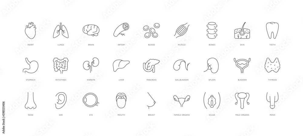 Outline style health care ui icons collection. Vector black linear illustration set. Group of human organ and body parts isolated on white background. Design element for healthcare, science education - obrazy, fototapety, plakaty 