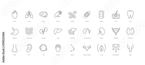 Leinwand Poster Outline style health care ui icons collection