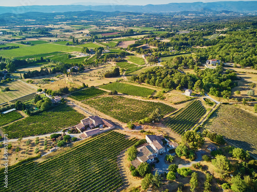 Aerial Mediterranean landscape with cypresses, olive trees and vineyards in Provence, Southern France