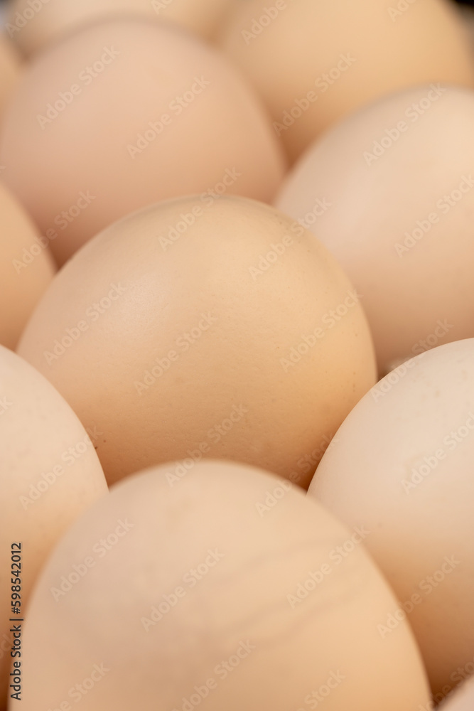 Tray with a large number of white chicken eggs Tray with a large number of white chicken eggs