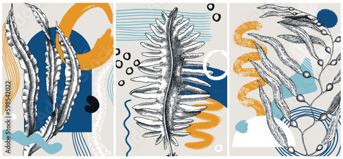 Collage-style seaweeds vector illustration. Sketched underwater plants banner set. Trendy design with botanical elements and geometric shapes. Elegant algae for sketch poster, card, and wall art.