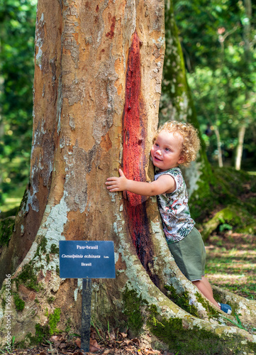 Obraz na plátne Child hugging a tree, Pau Brasil, Paubrasilia echinata