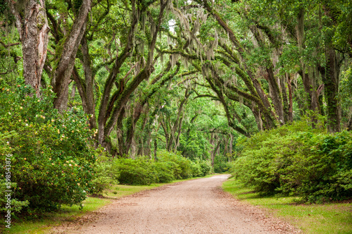 Photos The Afton Villa Gardens in Louisiana