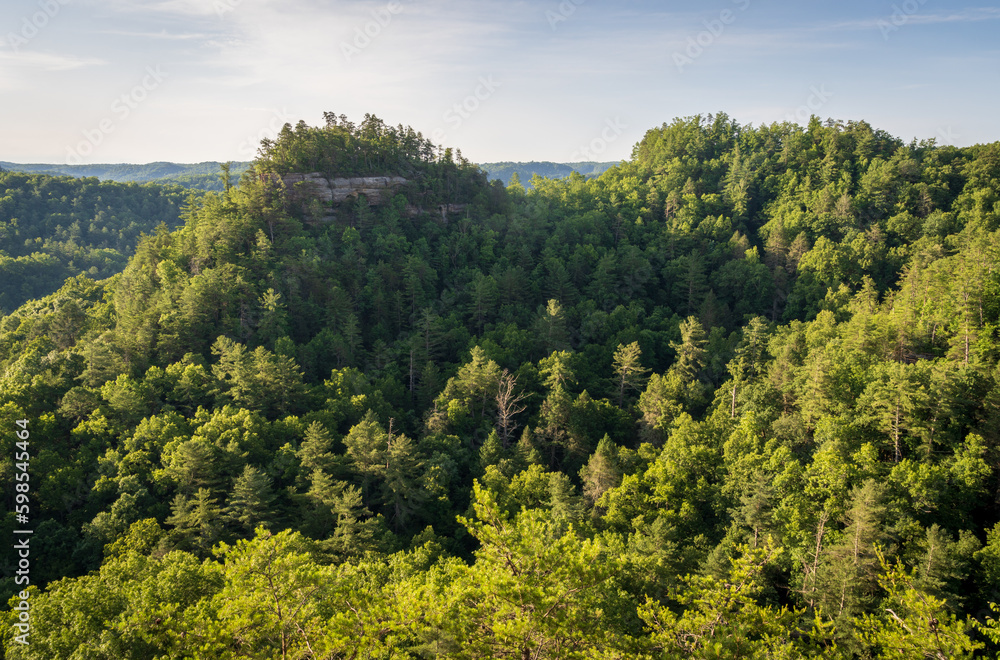 Overlook on a Summer Day at Natural Bridge State Resort Park in Kentucky