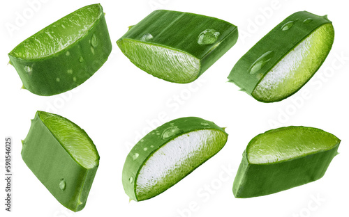 Set of fresh Aloe vera slice with aloe vera gel drops isolated on transparent background. Aloe vera leaf slices for design of herbal medicine or skin care treatment.