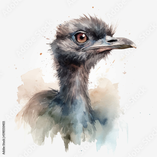 Vector watercolor colours ostrich clipart isolated on white background. photo