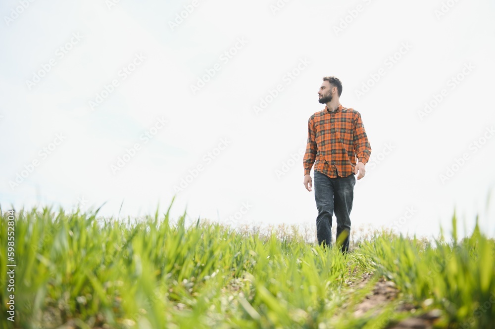 Portrait of farmer standing in field. Portrait of farmer standing in field.