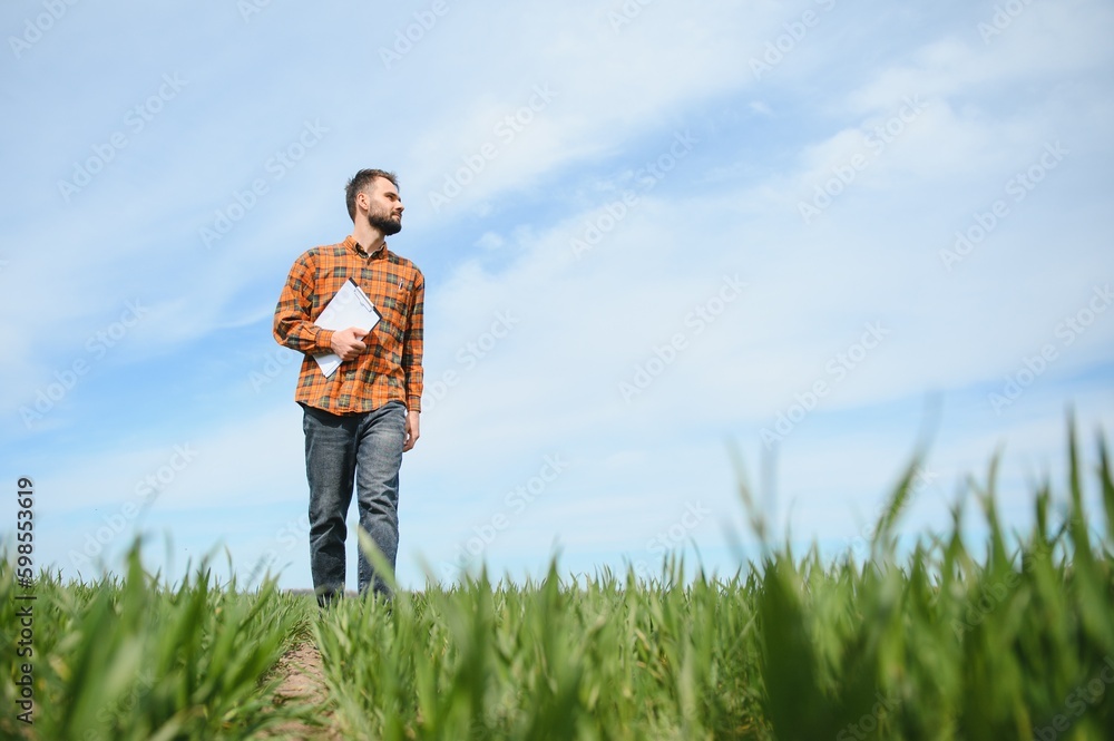 Portrait of farmer standing in field. Portrait of farmer standing in field.