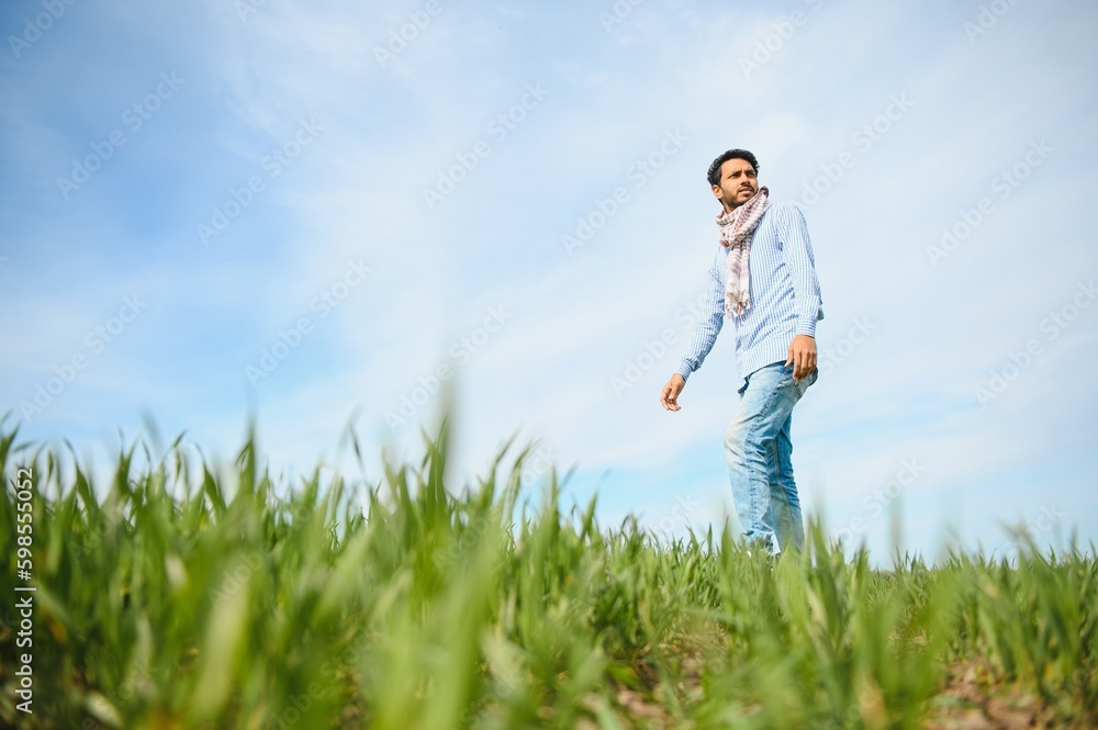 worry less ,indian farmer standing in his healthy wheat field worry less ,indian farmer standing in his healthy wheat field