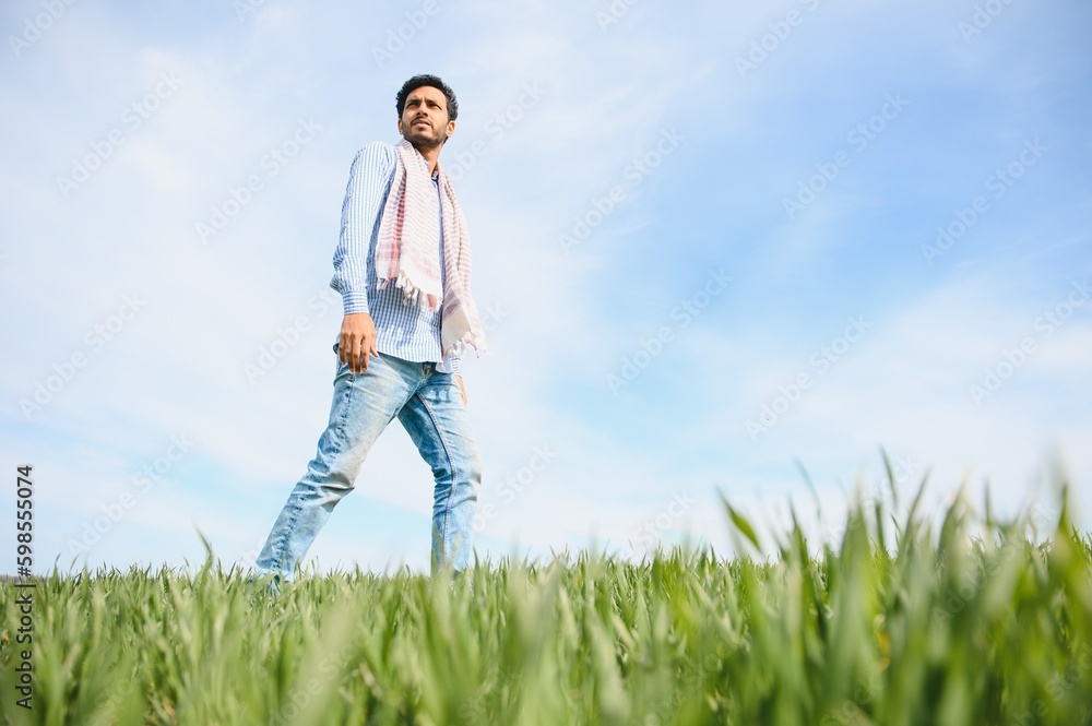Portrait of farmer standing in a wheat field. farmer stands in green wheat field, looks, examines his crop Portrait of farmer standing in a wheat field. farmer stands in green wheat field, looks, examines his crop