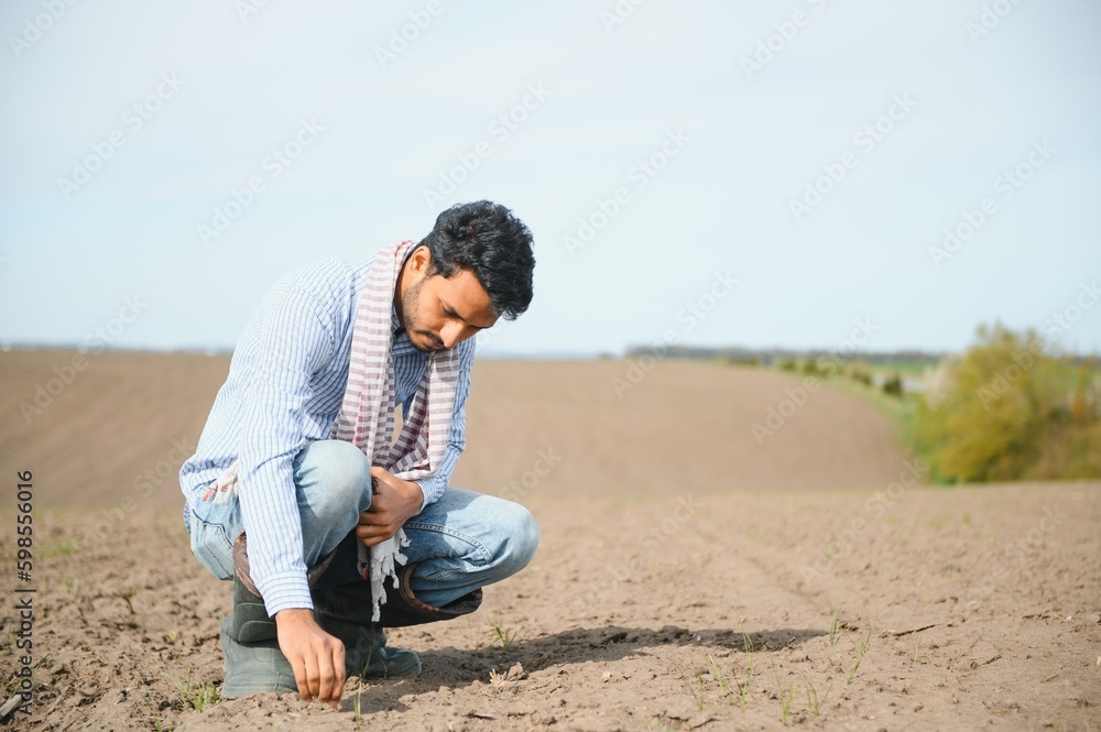 A young Indian farmer inspects his field before sowing. A young Indian farmer inspects his field before sowing.