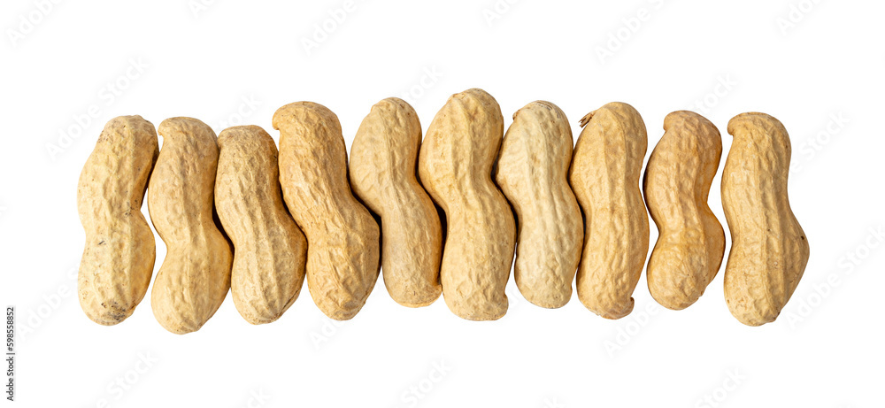 Peanuts Isolated, Roasted Arachis Nuts, Open Pea Nut, Whole Groundnut with Shell, Peanut on White Peanuts Isolated, Roasted Arachis Nuts, Open Pea Nut, Whole Groundnut with Shell, Peanut on White