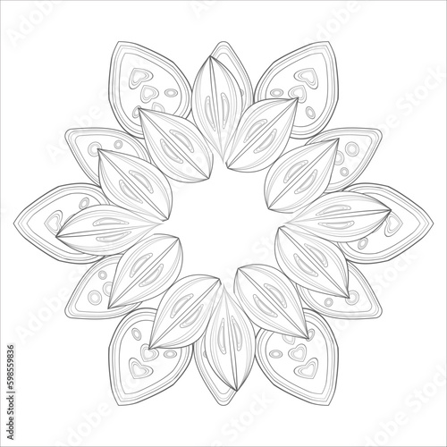 Decorative Doodle flowers in black and white for coloring book  cover or background. Hand drawn sketch for adult anti stress coloring page.-vector 