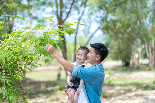 Curious children asked father about the name of the tree.