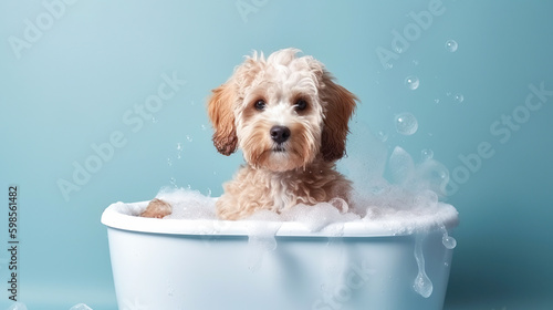 Cute puddle puppy dog in a small bathtub with soap foam and bubbles. Generative AI