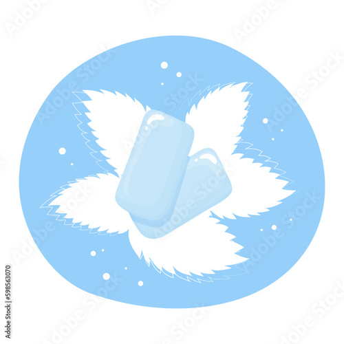 Mint flavor chewing gum.