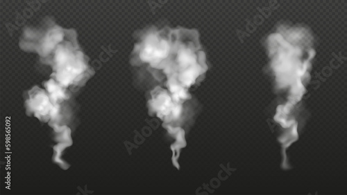 Realistic transparent smoke or exhaust from a chimney. White clouds of steam in the air. Vector illustration