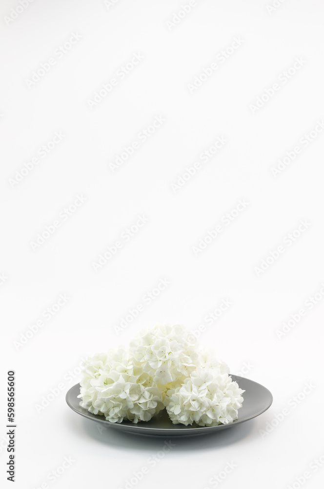 immagine in primo piano di piatto grigio con fiori di ortensia annabelle bianchi su superficie bianca, vista dall'alto immagine in primo piano di piatto grigio con fiori di ortensia annabelle bianchi su superficie bianca, vista dall'alto