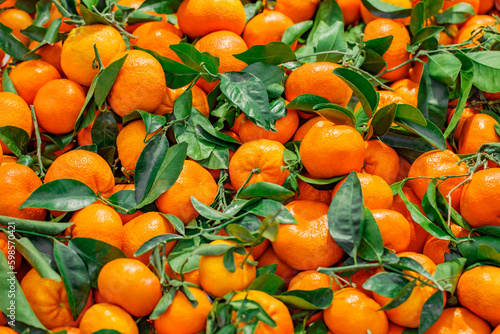 Tangerines with leaves, whole, in bulk, on supermarket, selective focus