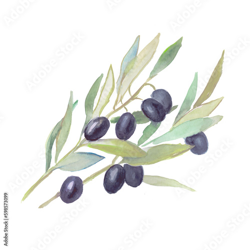 Olives  black olives  olive branches  watercolor food illustrations 