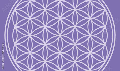 flower of life background vector spiritual symbol purple