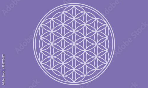 flower of life background vector spiritual symbol purple