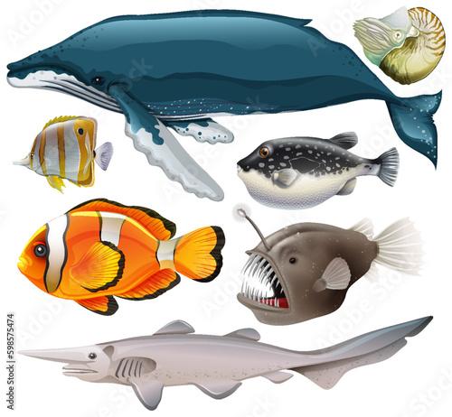Sea Animals Vector Collection