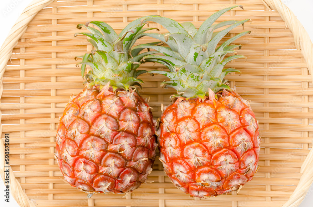 ピーチパイン(ソフトタッチ)石垣島産パイナップル ピーチパイン(ソフトタッチ)石垣島産パイナップル