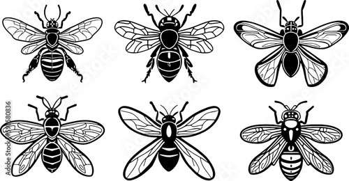 wasps vector logo set simple design black and white stencil insects © Gleb