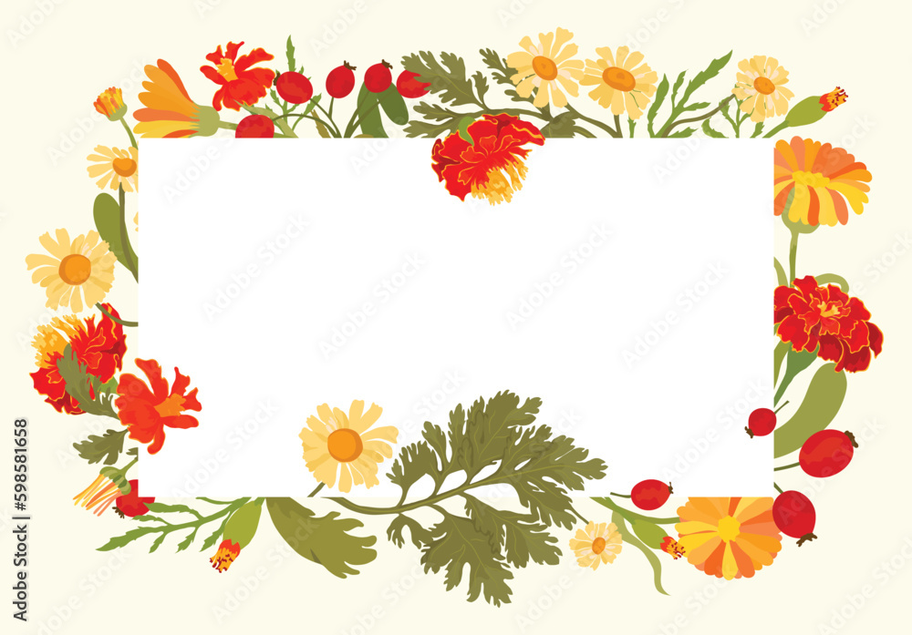 Isolated frame with hand drawn garden flowers Isolated frame with hand drawn garden flowers