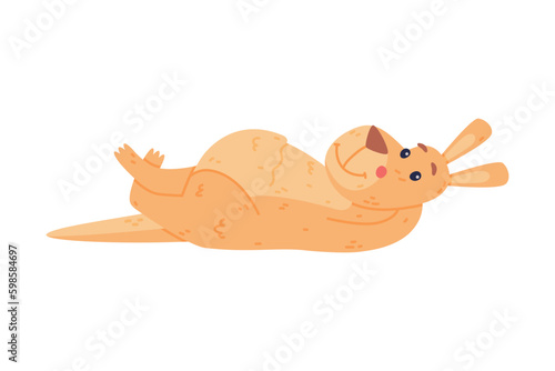 Funny Kangaroo Marsupial Animal Lying on the Ground Vector Illustration