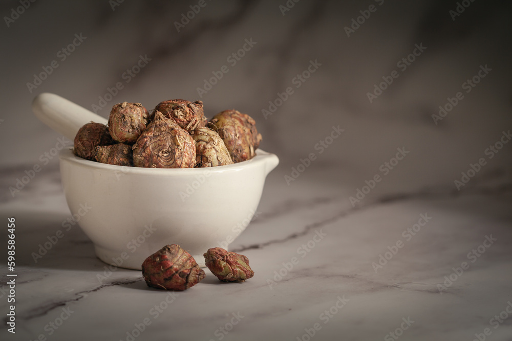 Closeup of Dry Spectacular Eulophia or Eulophia ochreata or Tubers of Amarkand (Eulophia nuda) fruits, in white ceramic mortar and pestle. Front view on marble background. Closeup of Dry Spectacular Eulophia or Eulophia ochreata or Tubers of Amarkand (Eulophia nuda) fruits, in white ceramic mortar and pestle. Front view on marble background.