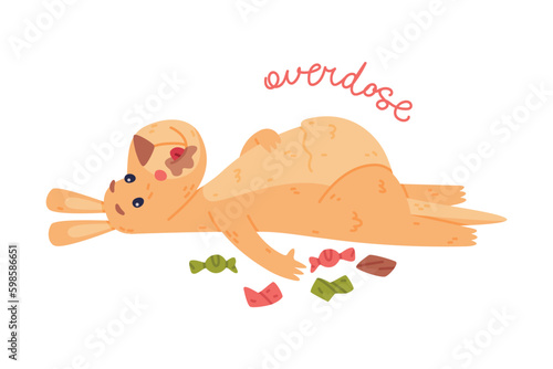 Funny Kangaroo Marsupial Animal Lying Overdose with Chocolate Sweets Vector Illustration