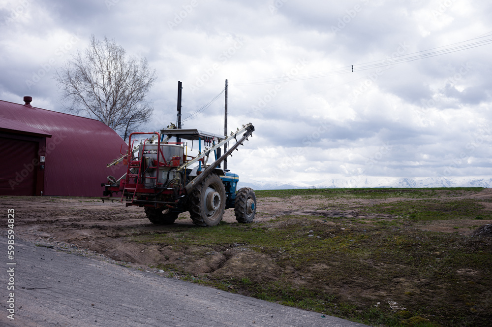 Fototapeta premium 畑