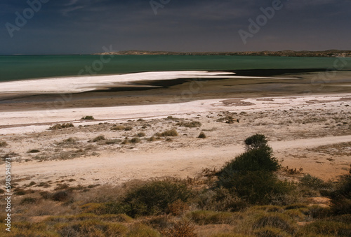 Shell Beach  Western Australia 
