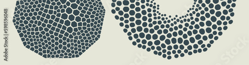 Elements made of uneven spots, blobs, specks of various size. Scientific illustration with cells or cell membranes. Black and white design. 3D vector for brochure, poster, card, flyer or banner.