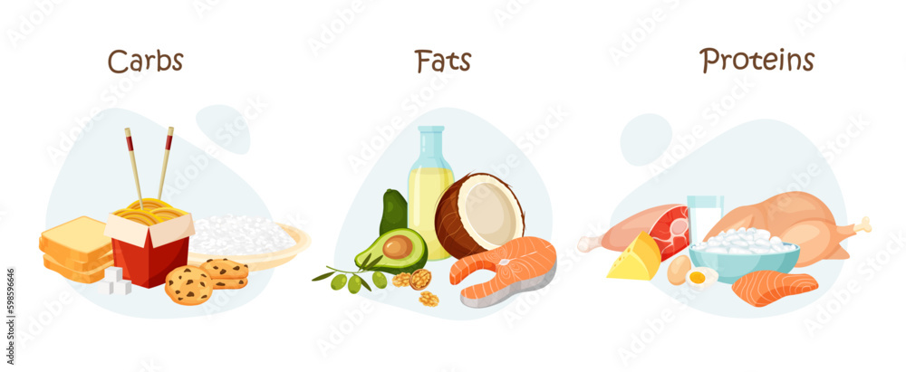 Set of healthy macronutrients. Proteins, fats and carbs in a food. Nutrient complex diet and wholesome products. Vector illustration in trendy flat style isolated on white background.